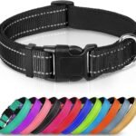 Collar ajustable de cinta de nylon reflectante para perros