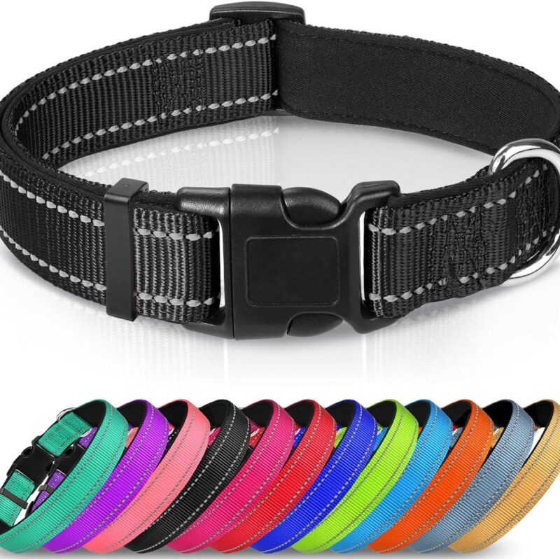 Collar ajustable de cinta de nylon reflectante para perros