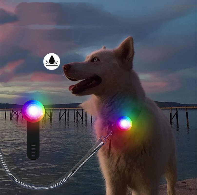 Watch Strap Charging Pet To Prevent Loss At Night - Imagen 4