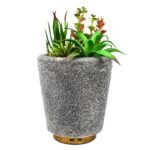 Humidificador planta verde.