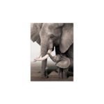 Decoración Póster de Elefante