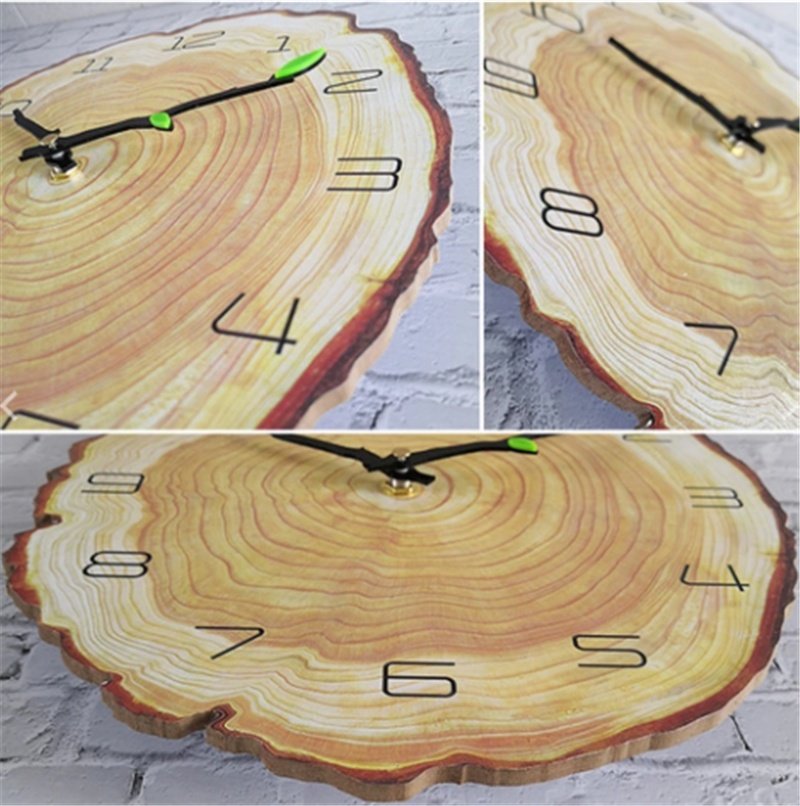 Anillo anual de madera - Imagen 6