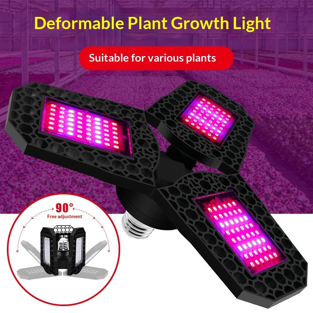 Luz para plantas - Imagen 5