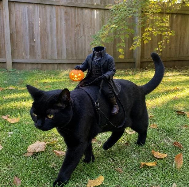 Disfraz de gato jinete sin cabeza - Imagen 4