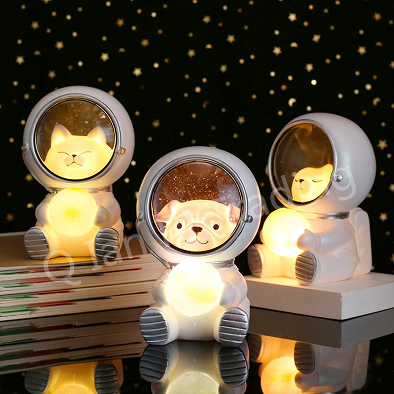 Cielo estrellado mascotas - Imagen 9