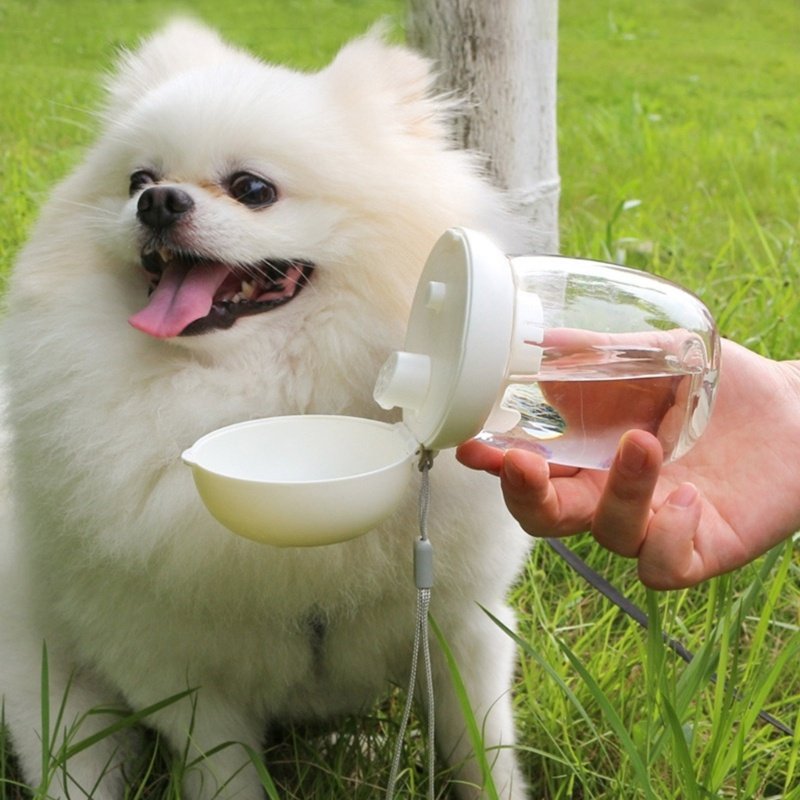 Botella de agua portátil para perros - Imagen 5